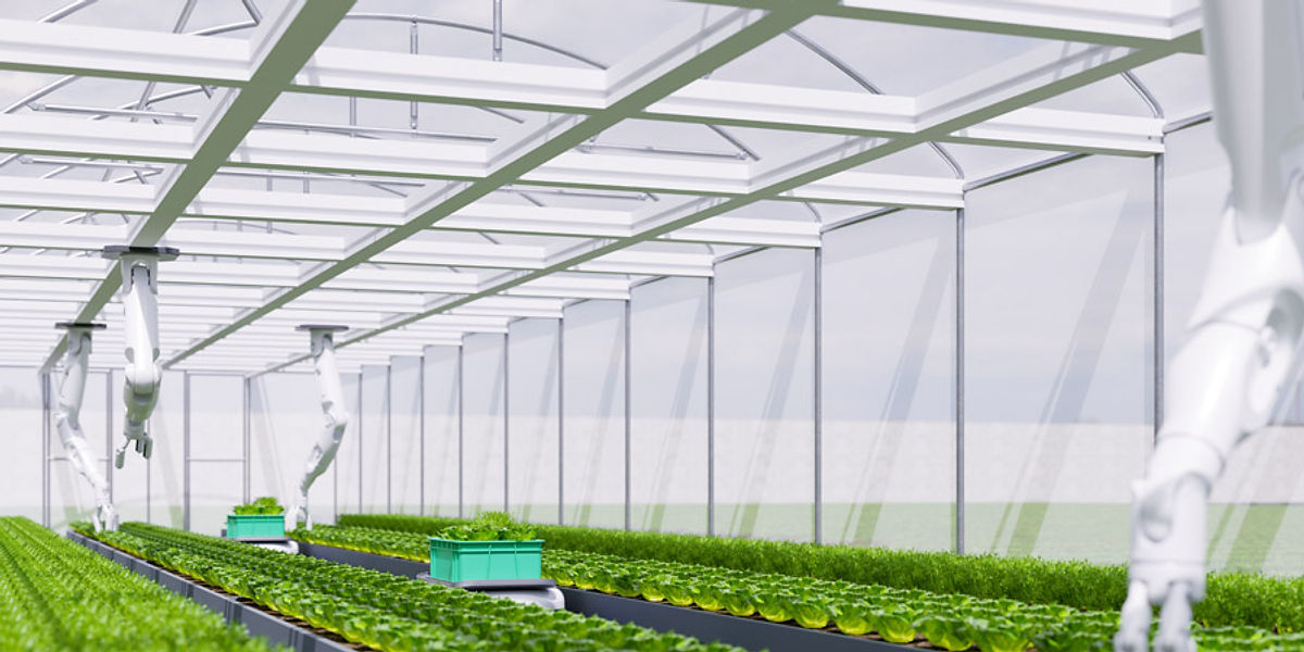 robots in agriculture