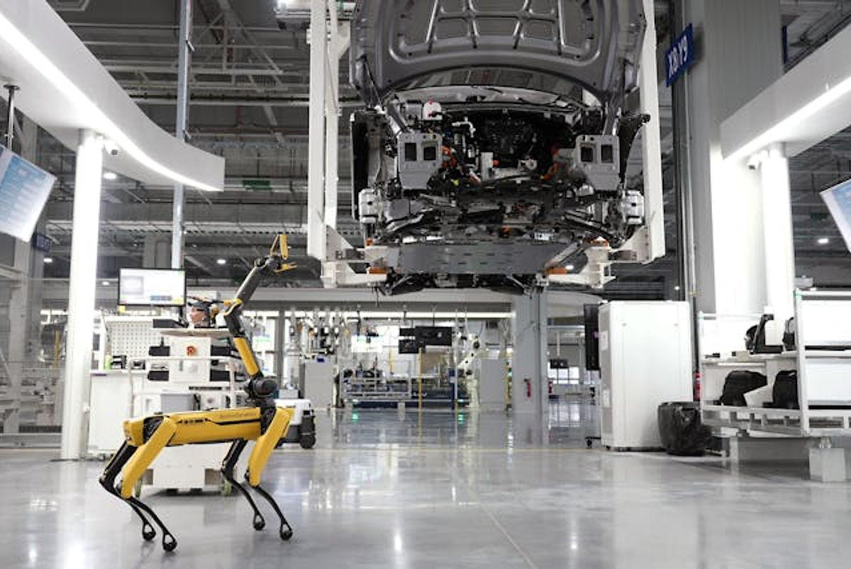 robot vs cobot