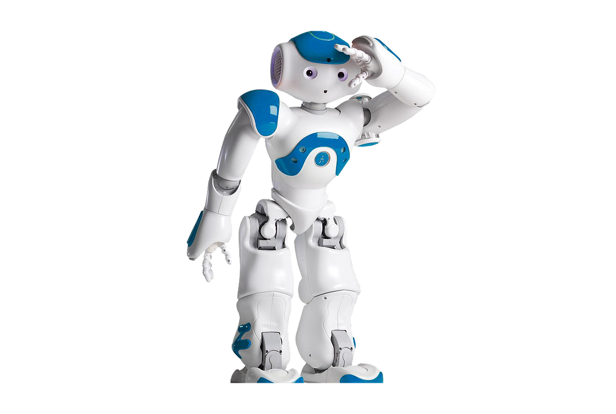 educational robot
