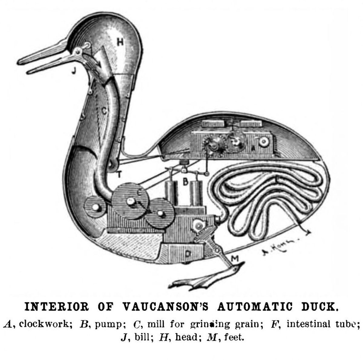 history of robots