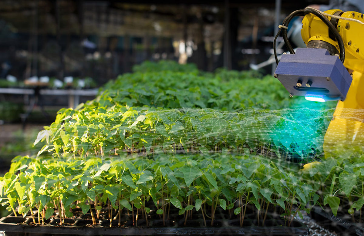 robots in agriculture