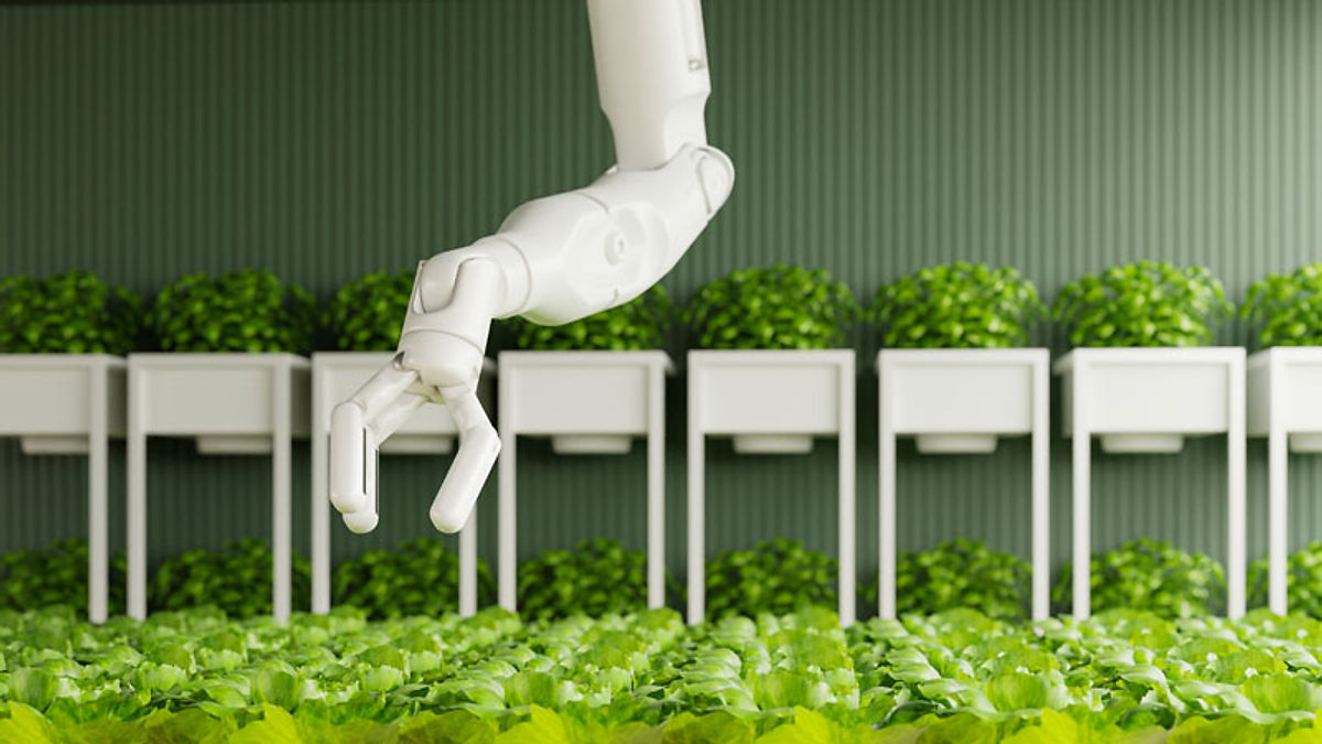 Applications of Robotic Arms