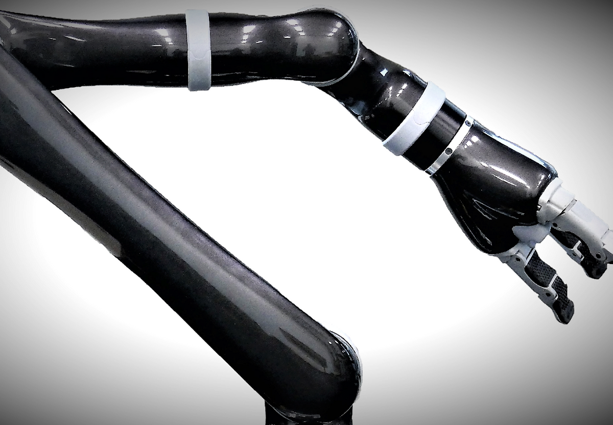robotic joint